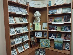 В Воронежской библиотеке&hellip;